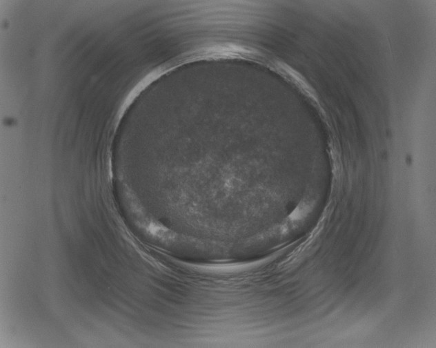 X0000078891226200611131221