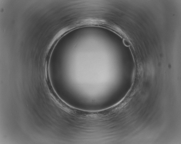 X0000078891227200611131222