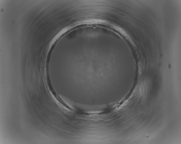 X0000078891229200611131222