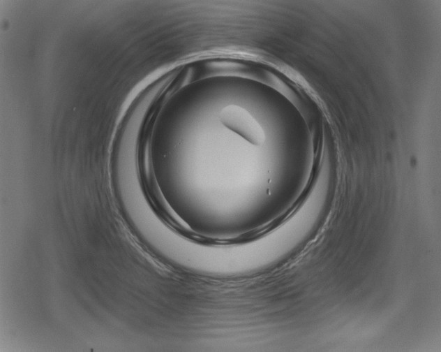 X0000078891230200611131222