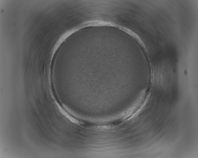 X0000078891231200611131222