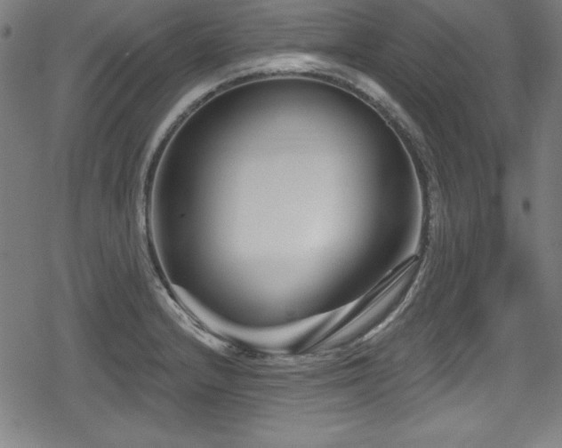 X0000078891232200611131222