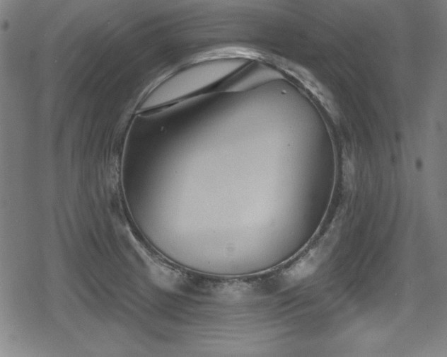 X0000078891233200611131222