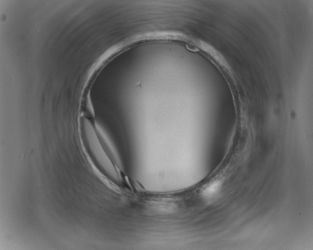 X0000078891237200611131222