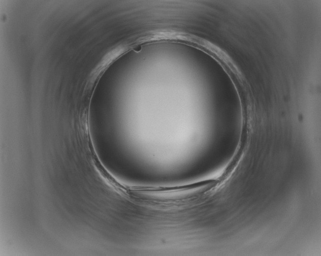 X0000078891241200611131222