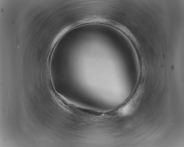 X0000078891242200611131222