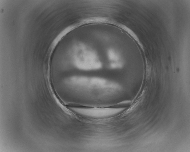 X0000078891245200611131222