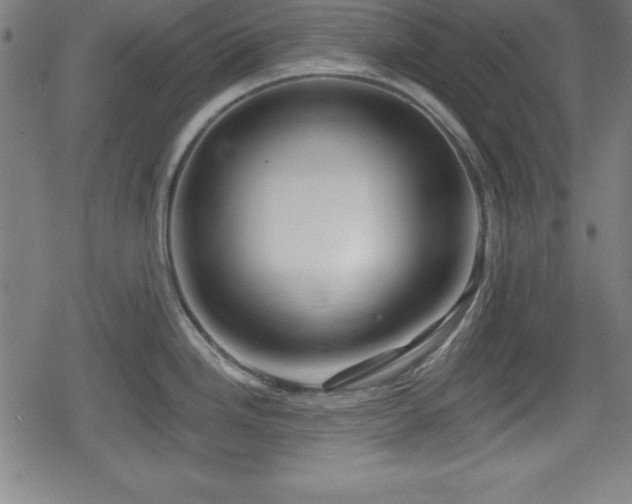 X0000078891246200611131222