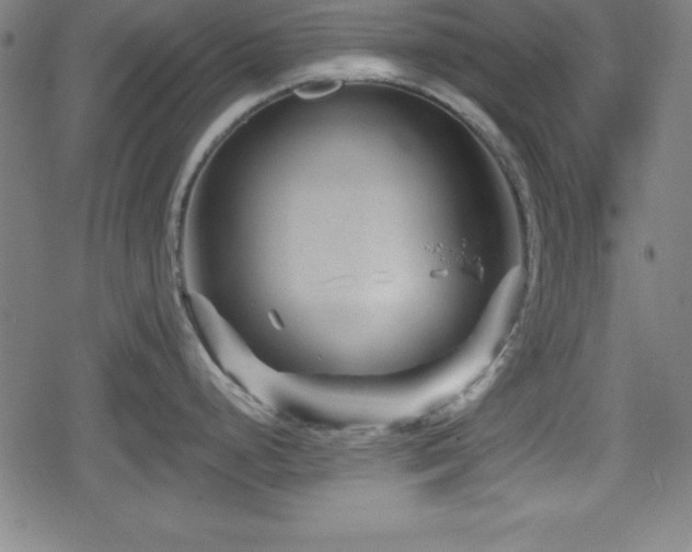 X0000078891248200611131222