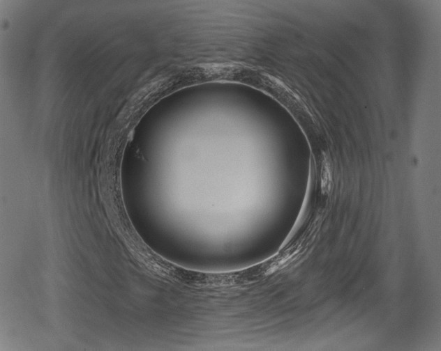 X0000078891249200611131221