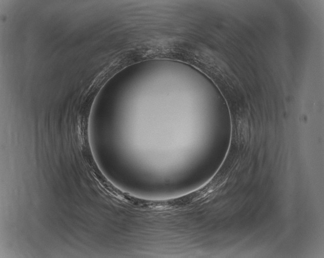 X0000078891250200611131221