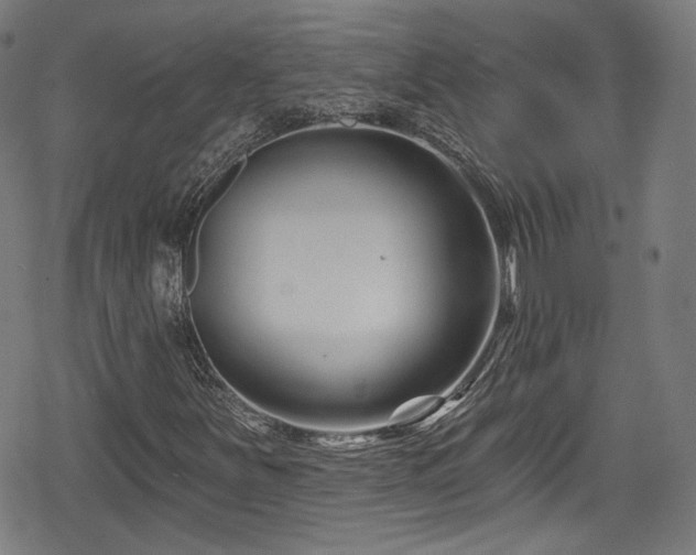 X0000078891251200611131221