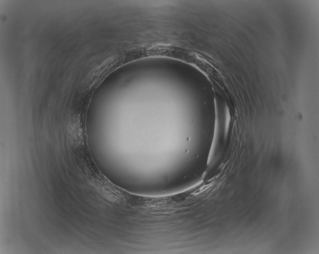 X0000078891252200611131221