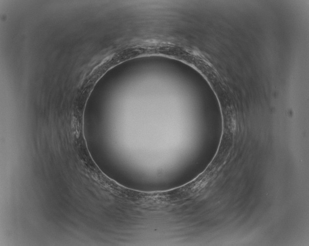 X0000078891253200611131221