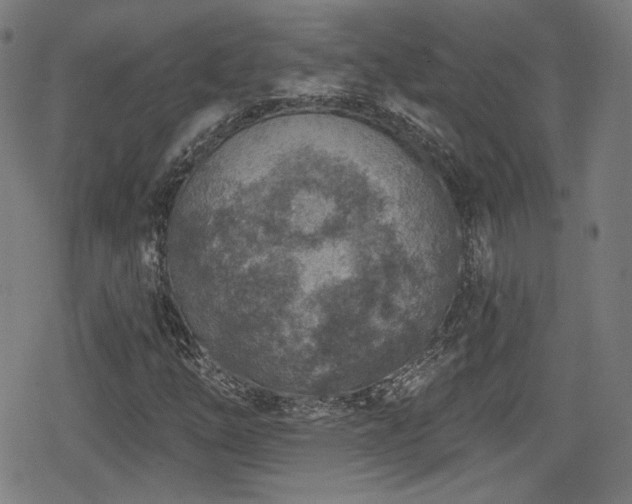 X0000078891254200611131221