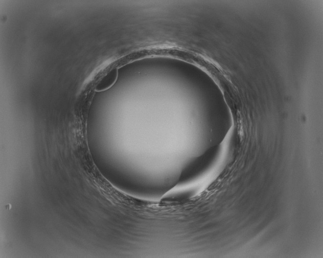 X0000078891255200611131221