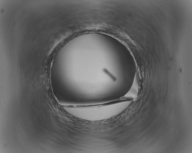 X0000078891256200611131221