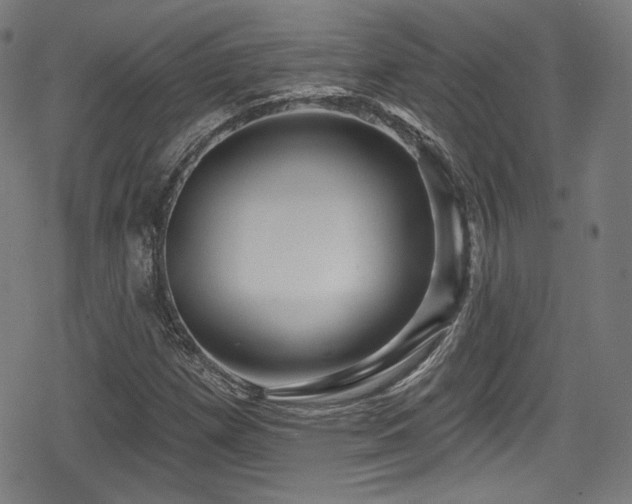 X0000078891257200611131221