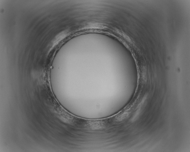 X0000078891258200611131221