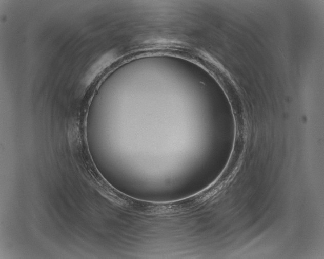 X0000078891259200611131221