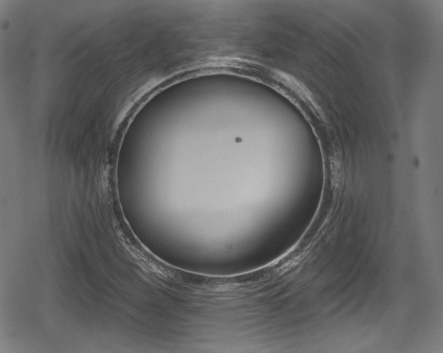 X0000078891260200611131221