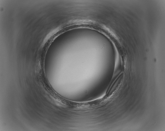 X0000078891261200611131221