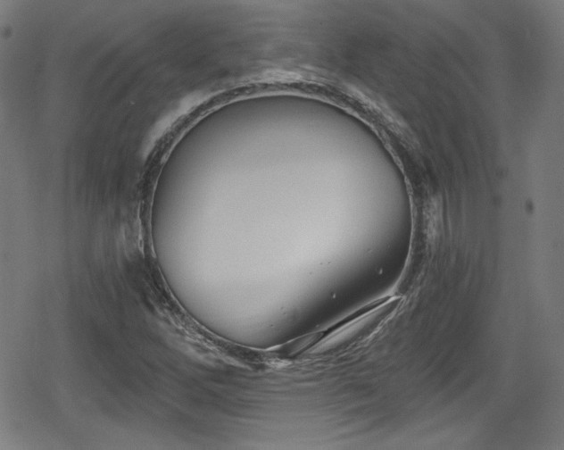 X0000078891262200611131221