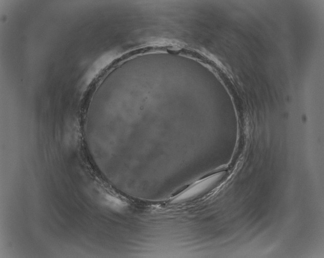 X0000078891263200611131221