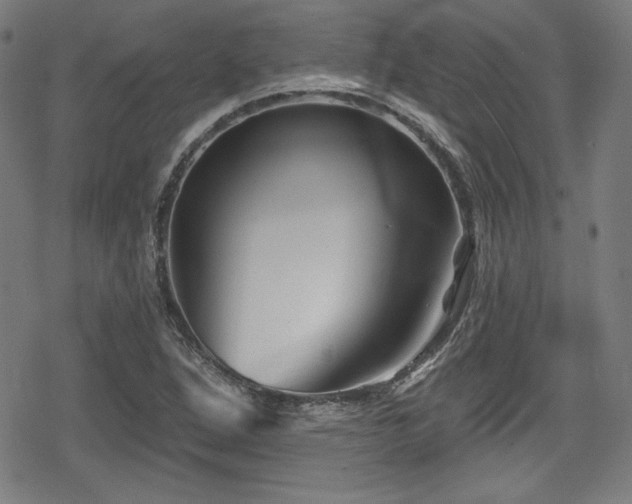 X0000078891264200611131221