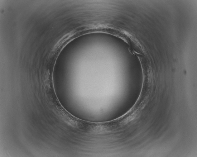 X0000078891265200611131221