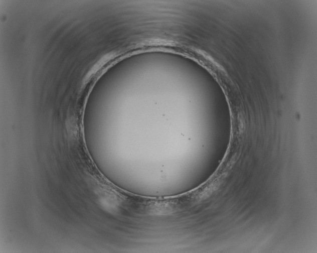 X0000078891266200611131221