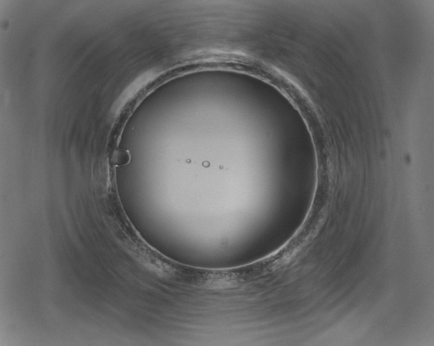 X0000078891267200611131221