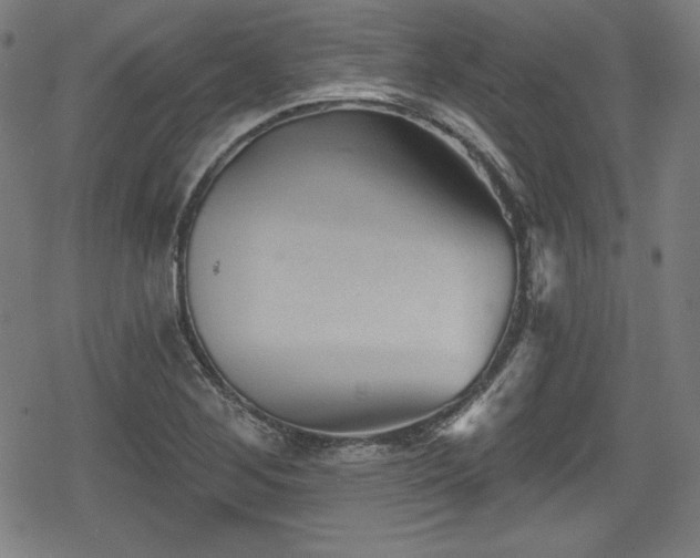 X0000078891268200611131221