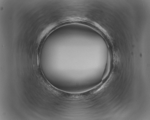 X0000078891269200611131221