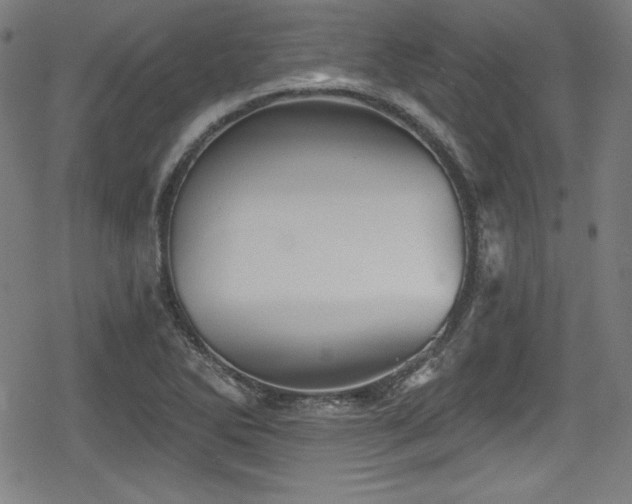 X0000078891270200611131221