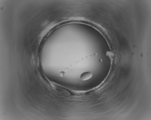 X0000078891271200611131221