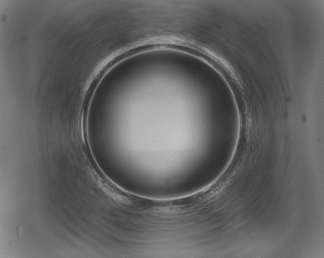 X0000078891272200611131221