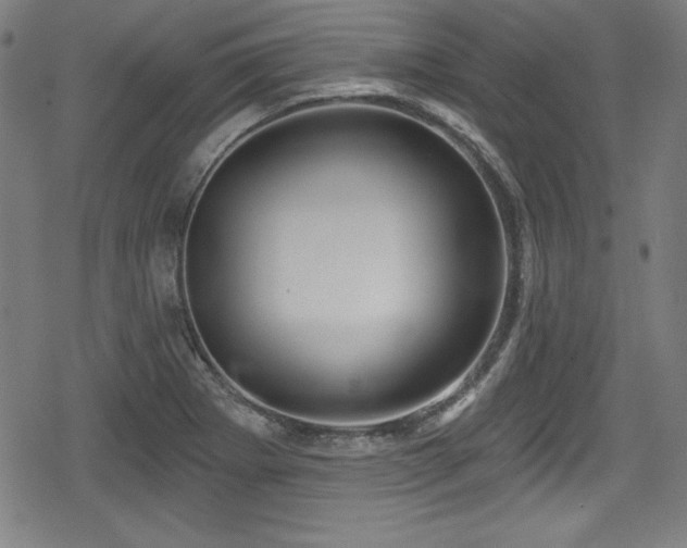 X0000078891273200611131221