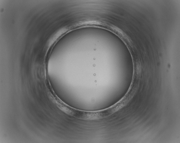 X0000078891274200611131221