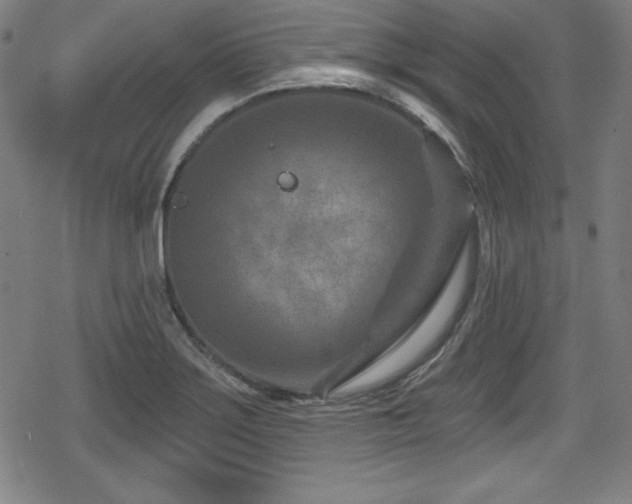 X0000078891275200611131221