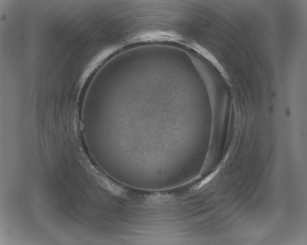 X0000078891277200611131221