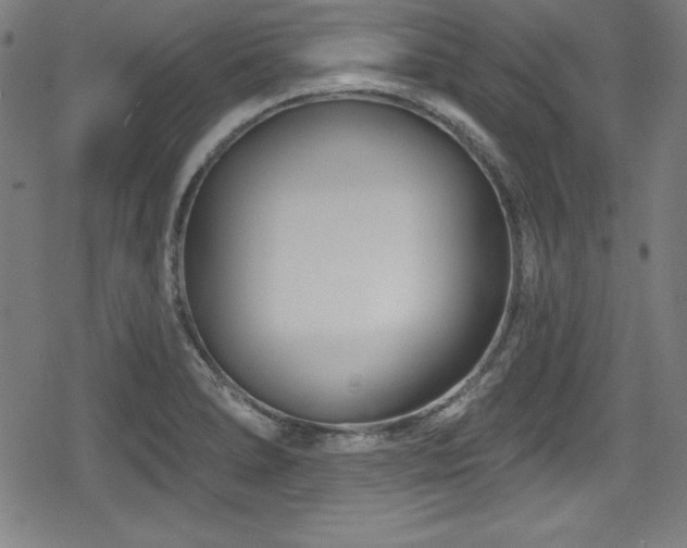 X0000078891278200611131221