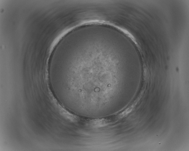 X0000078891279200611131221