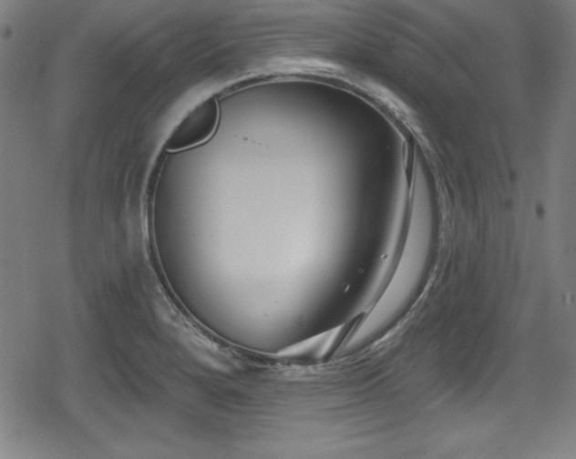 X0000078891280200611131221