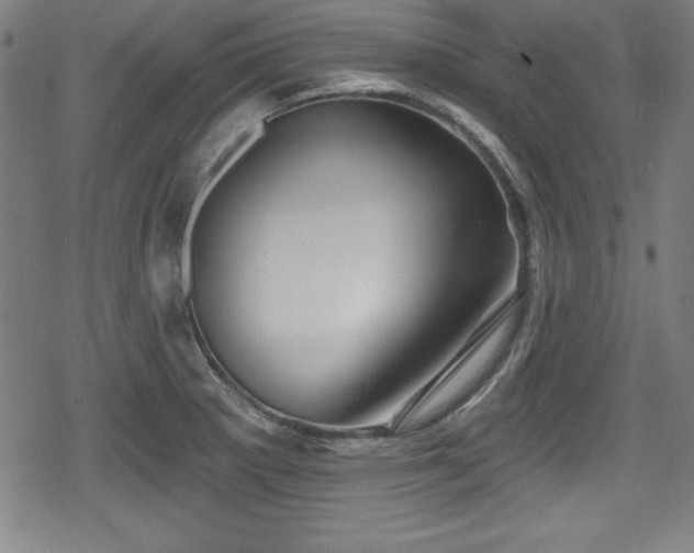 X0000078891281200611131221