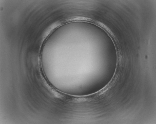 X0000078891282200611131221