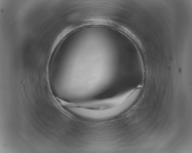 X0000078891283200611131221