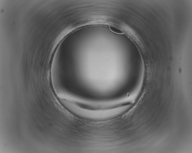 X0000078891284200611131220