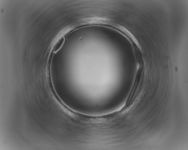 X0000078891285200611131220