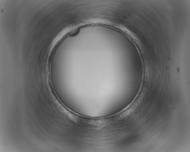 X0000078891286200611131220